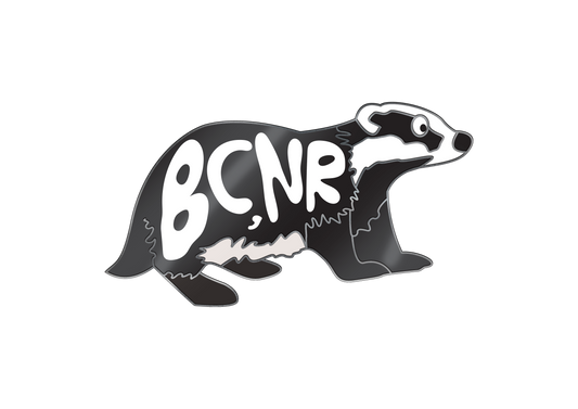 Badger pin